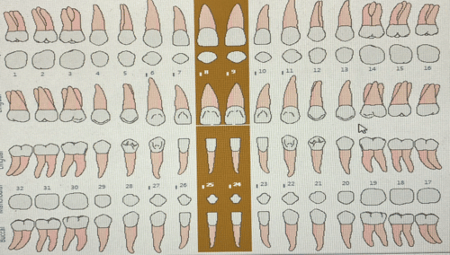 knowt flashcard image