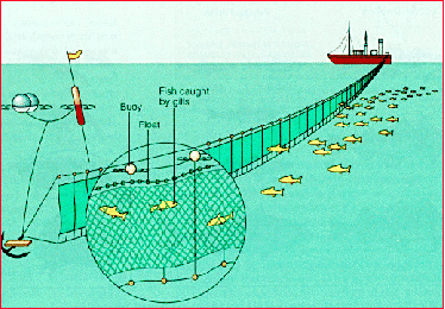 <p>A fishing net that is allowed to drift for a long time before it is pulled on board</p>