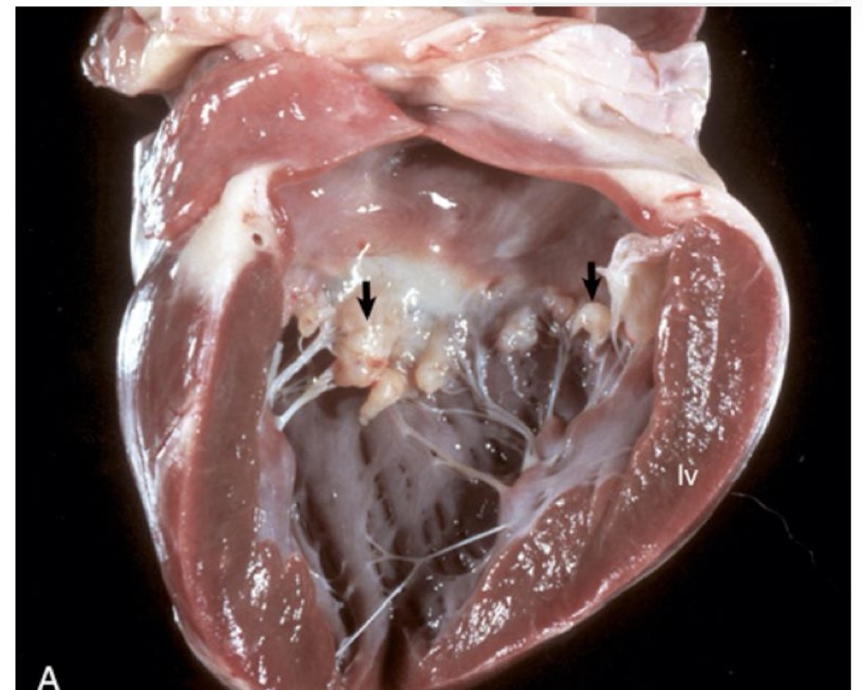 <p>what is this showing?</p>