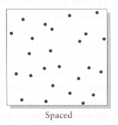 <p>(pic)</p>