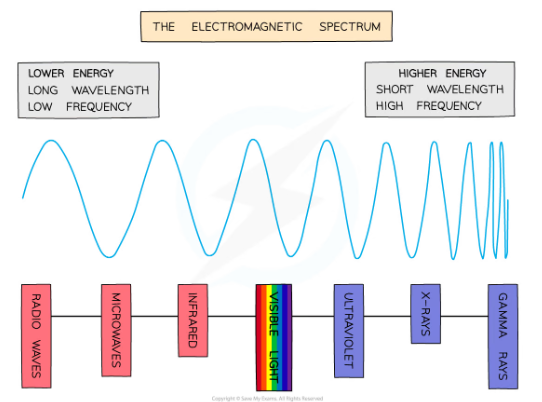 <p>The electromagnetic spectrum (EM spectrum) is a continuous spectrum of waves, which includes the visible spectrum. At one end of the spectrum the waves have a very long wavelength and low frequency, while at the other end the waves have a very short wavelength and high frequency.</p>