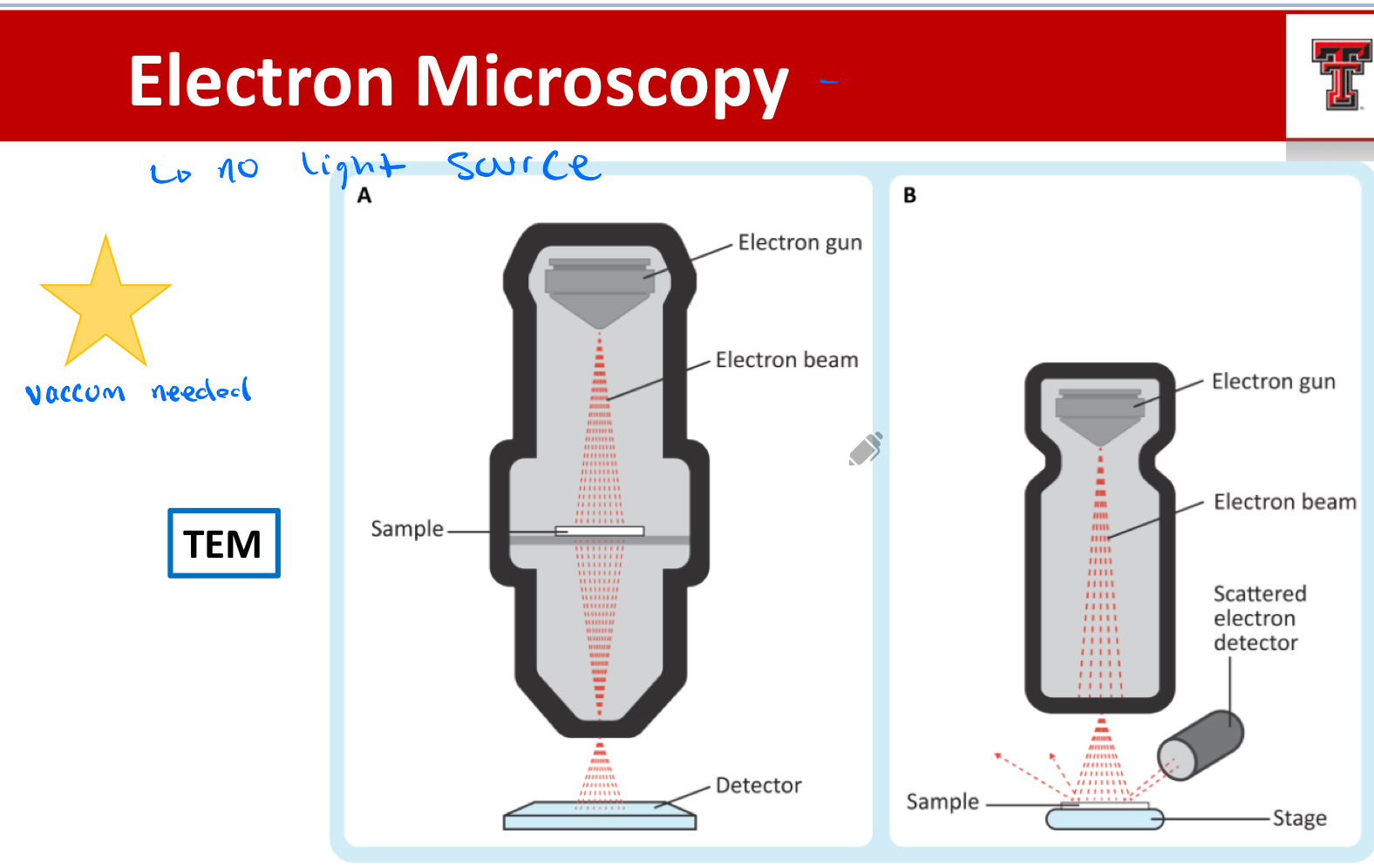 <p>light microscopy - no dyes</p><p></p><p>fluorescence microscopy  - fluorescence dyes</p><ul><li><p>excitation and emission filter </p></li></ul><p></p><p>electron microscopy transmission TEM - higher magnification and resolution (englargement and definition - closest spacing of 2 lines) </p><ul><li><p>internal structures </p></li><li><p>vaccum needed, no light source </p></li></ul><p></p><p>scanning electron microscopy SEM - surfaces </p><p></p>