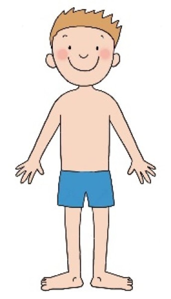 <p>body</p>