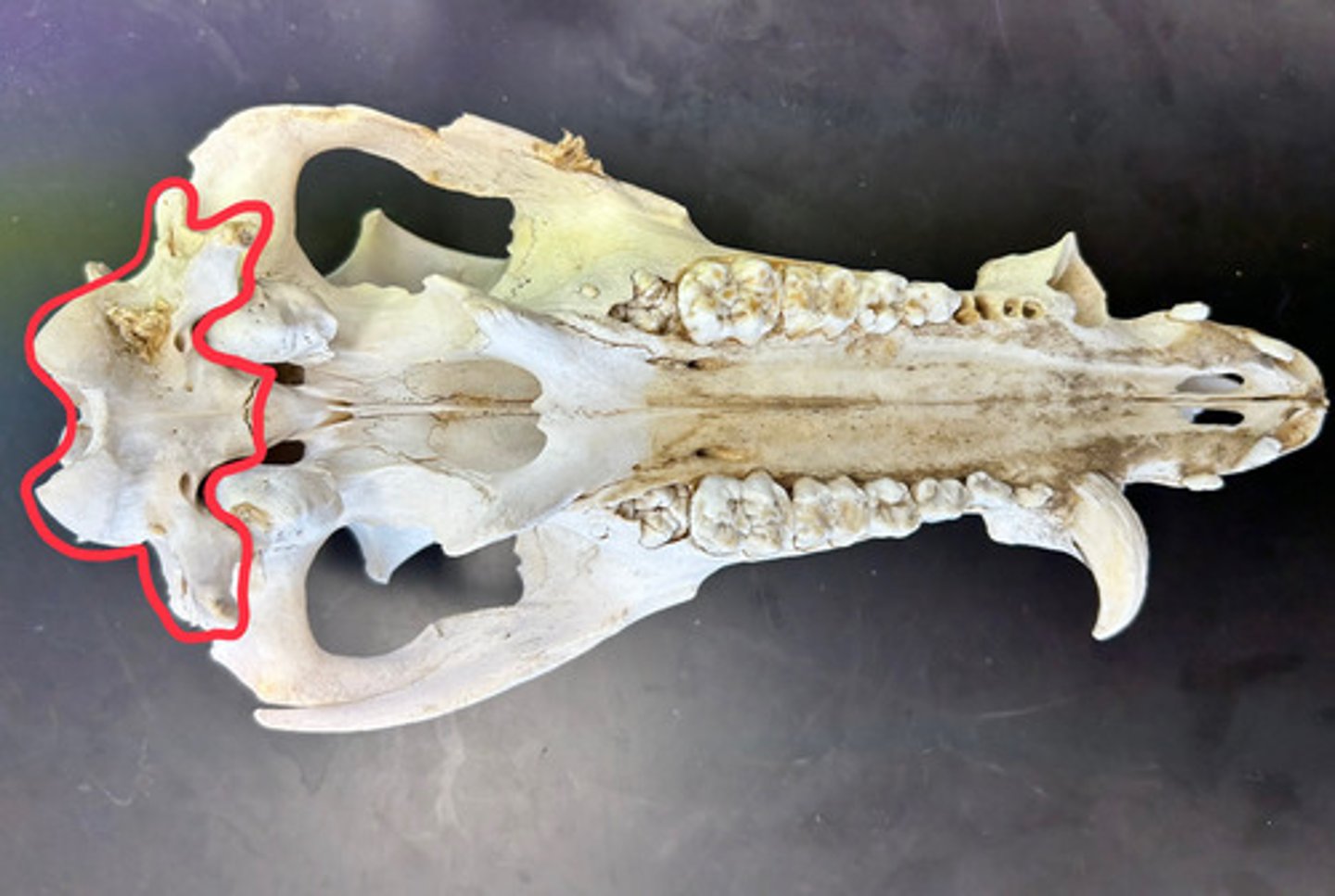 <p>What is this?</p>