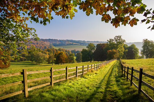 <p><strong>countryside</strong></p><p>/ˈkʌntriˌsaɪd/ Noun singular </p>