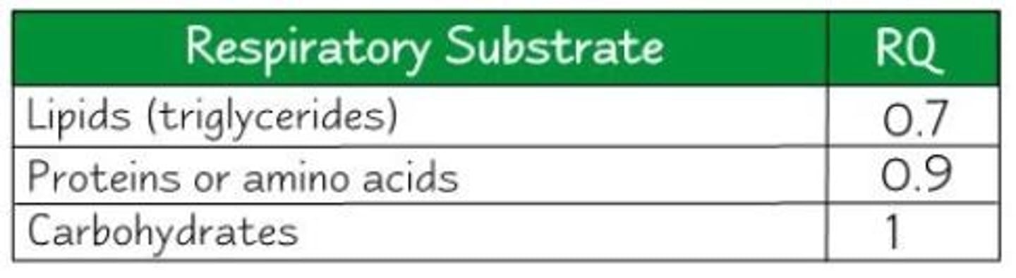 <p>Lipids contain a high proportion of carbon-hydrogen bonds which is why they produce so much more ATP in respiration.<br><br>Due to the greater number of C-H bonds, lipids require more oxygen to break them down and release less CO2.</p>