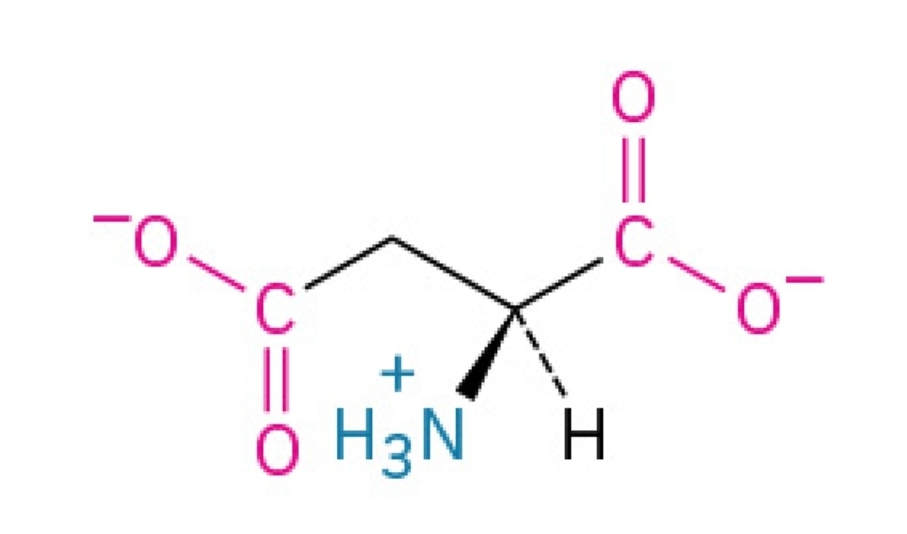 <p>Acidic, hydrophilic, nonessential amino acid</p>