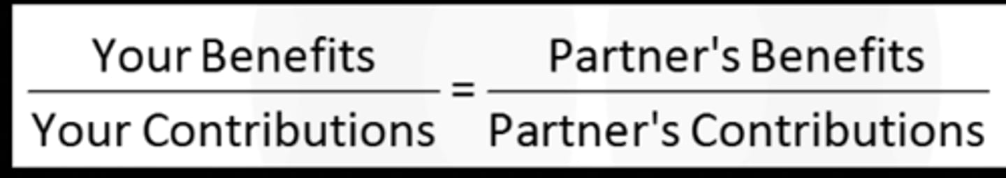 <p>The theory that people are most satisfied with a relationship when the ratio between benefits and contributions is similar for both partners.</p>
