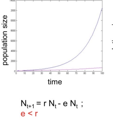 <ul><li><p>the destructive use of animals, plants, and their products for various consumptive (e.g., food, medicine) and non consumptive (e.g. trophy hunting) purposes.</p></li><li><p>Exploitation < growth rate</p></li></ul><p></p>