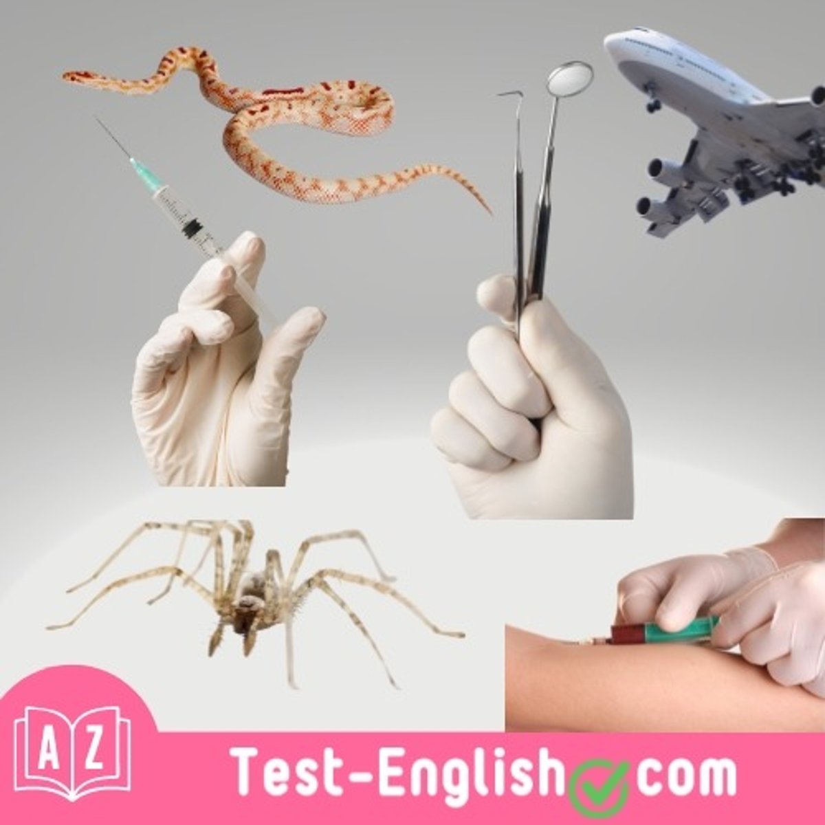 <p>My _____ of needles means I hate going to the doctor's.</p>