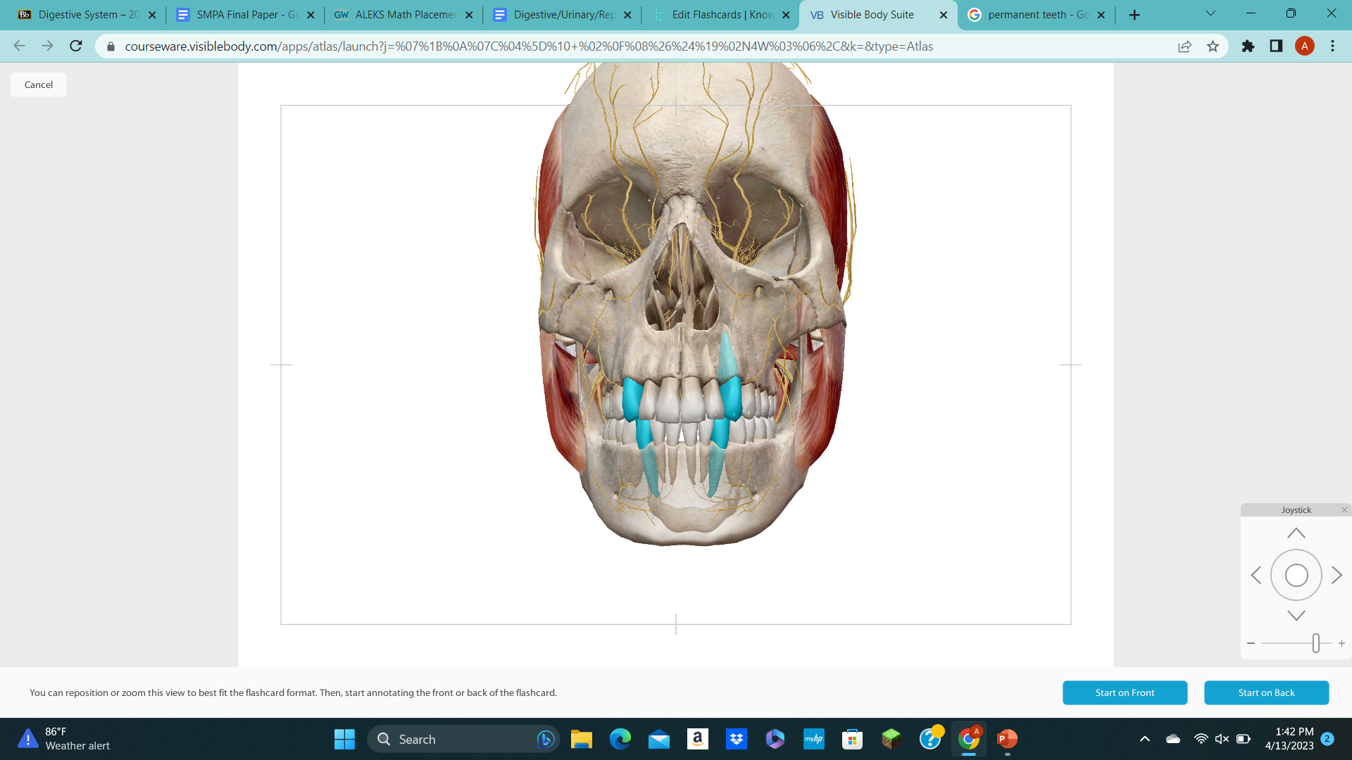 knowt flashcard image