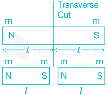 <ul><li><p>Has 2 equal and opposite poles</p></li><li><p>If a magnet is cut into two pieces, it splits into two magnets with each having its own north and south pole</p></li><li><p>There is no magnetic monopole</p></li><li><p>When a bar magnet is cut laterally (along its length), pole strength decreases and when it is cut transversely, pole strength remains the same</p></li></ul><p></p>