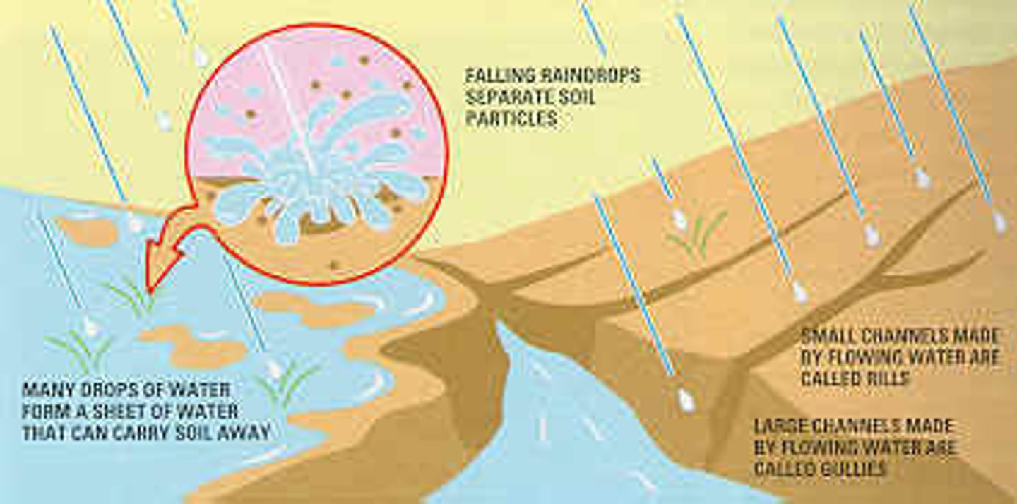 <p>solid material, moved by wind, water, and other forces, that settles on the surface of land or the bottom of a body of water<br><br>material sólido transportado por el viento, el agua y otras fuerzas, que se asiente en la superficie de la tierra o en el fondo de un cuerpo de agua</p>