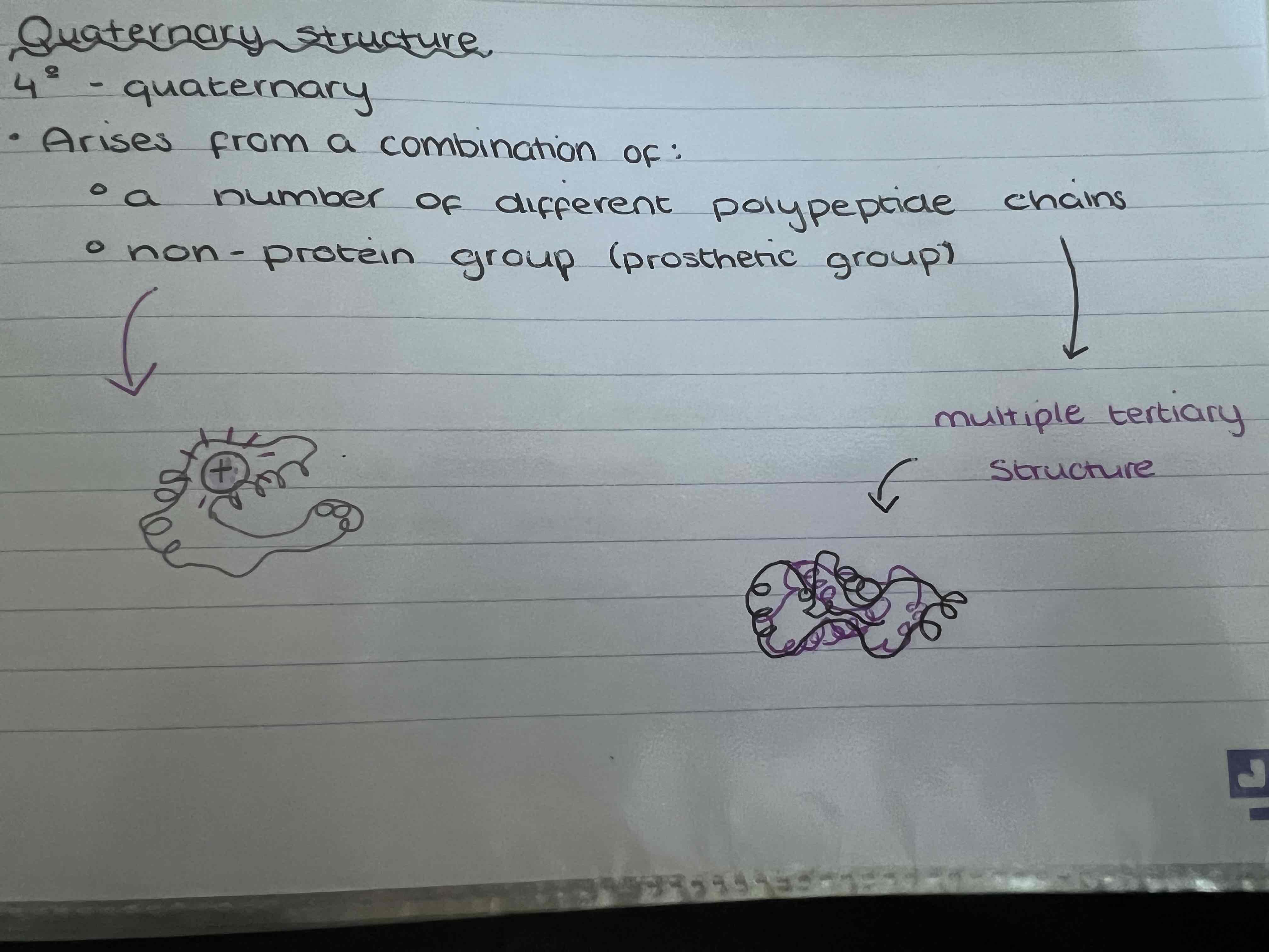 <p>Arises from a combination of:</p><ul><li><p> A number of different polypeptide chains </p></li><li><p>Non-protein group (prosthetic group)</p></li></ul>