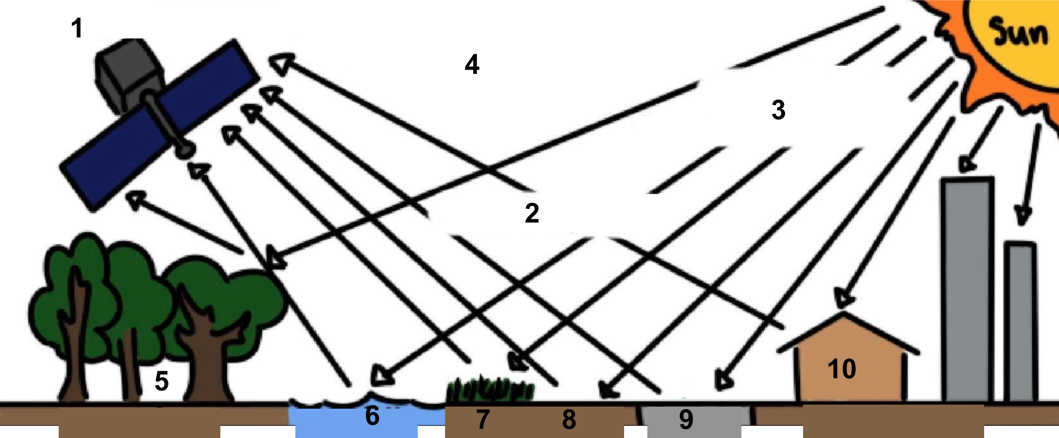 <p>Label Diagram </p>