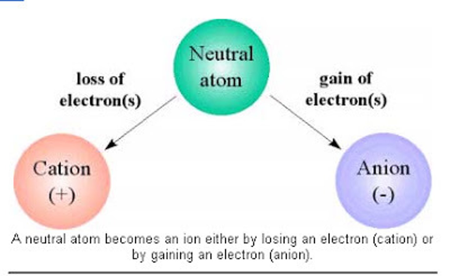 <p>cations gain e-, anions lose e-</p>