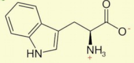 <p>only bicyclic R group, NH goes on bottom left corner, double bond closest to the carbon chain</p>