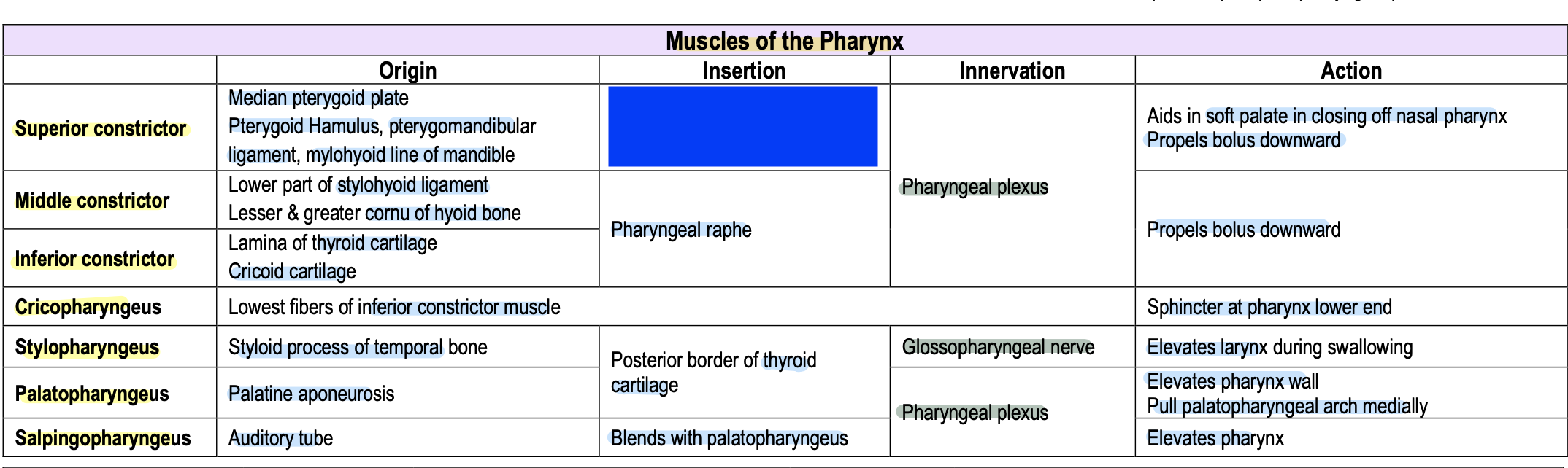 knowt flashcard image