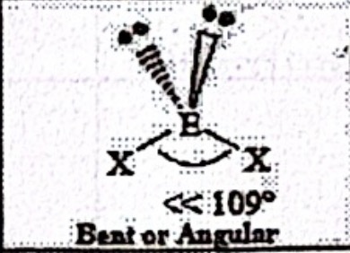 <p>Bent or Angular (sp<sup>3</sup>)</p>