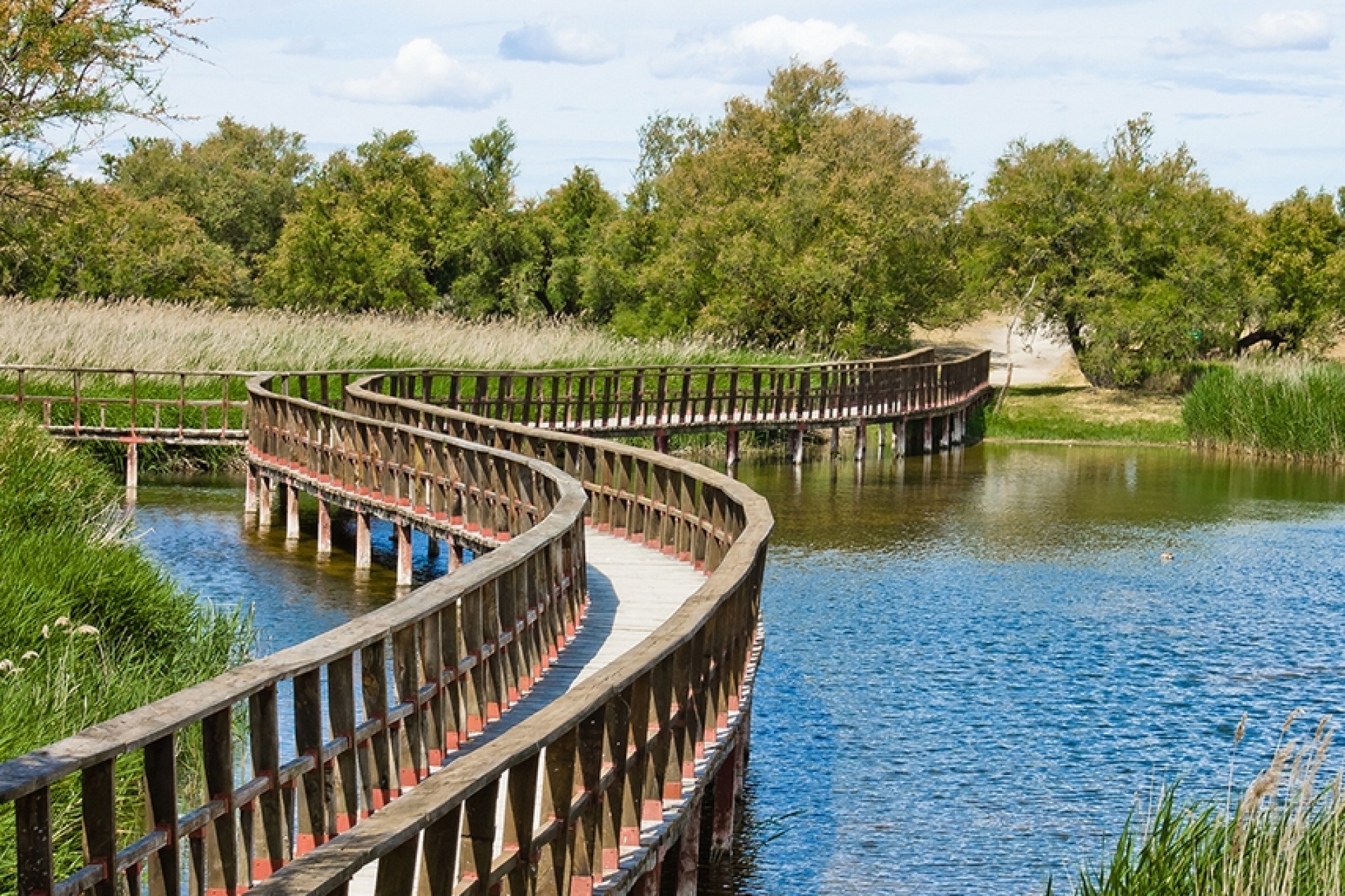 <p>Parque nacional situado en Castilla-La Mancha con un sistema de humedal amenazado por la sobreexplotación de sus acuíferos.</p>