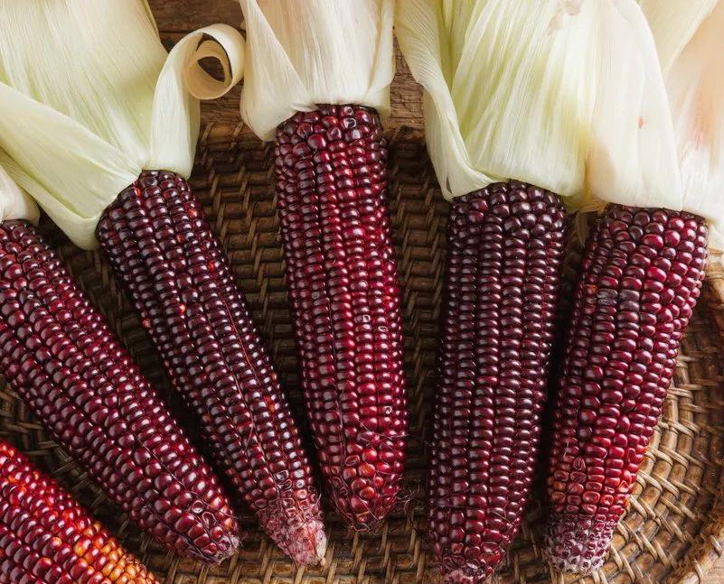 <p>red corn</p>