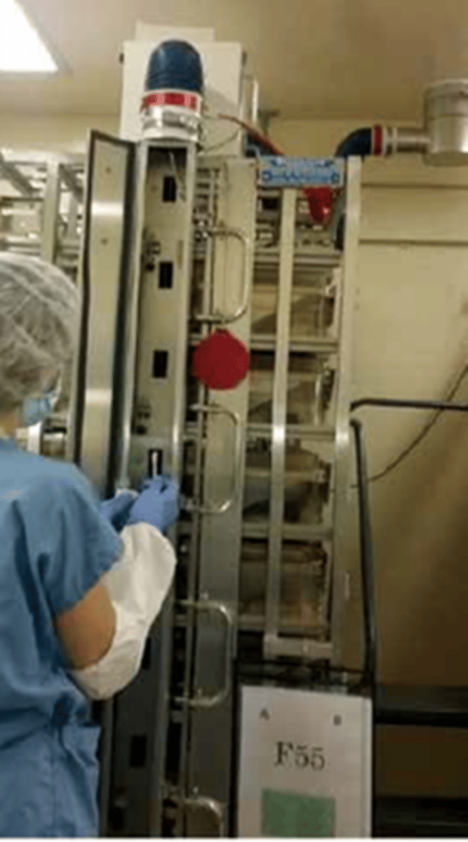 <p>What activity is this picture showing?</p>