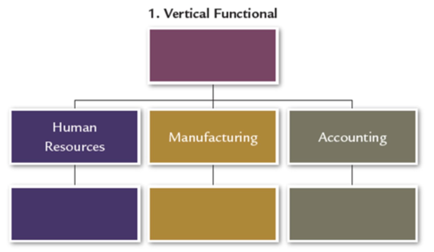 <p>positions grouped into departments based on similar skills, expertise and resource use</p>