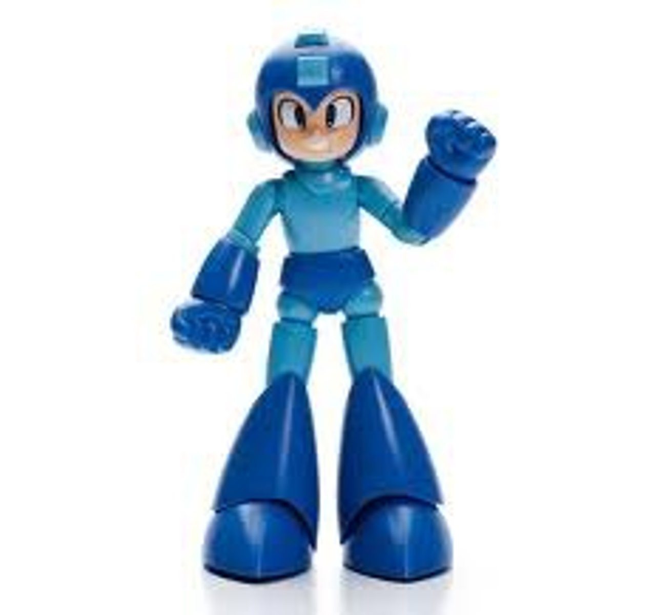 <p>the action figure</p>