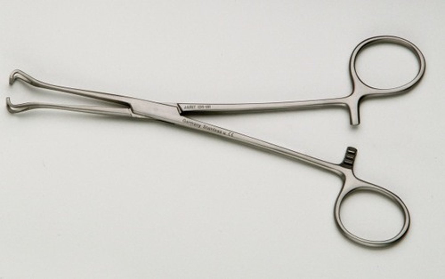 <p>forcep with loop blades designed to hold a short length of intestine without compressing, also used to grasp delicate tissues in large procedures</p>