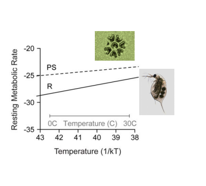 <p>Explain the implications of this graph</p>