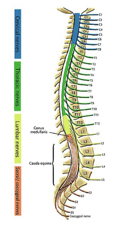 <p>Below</p>