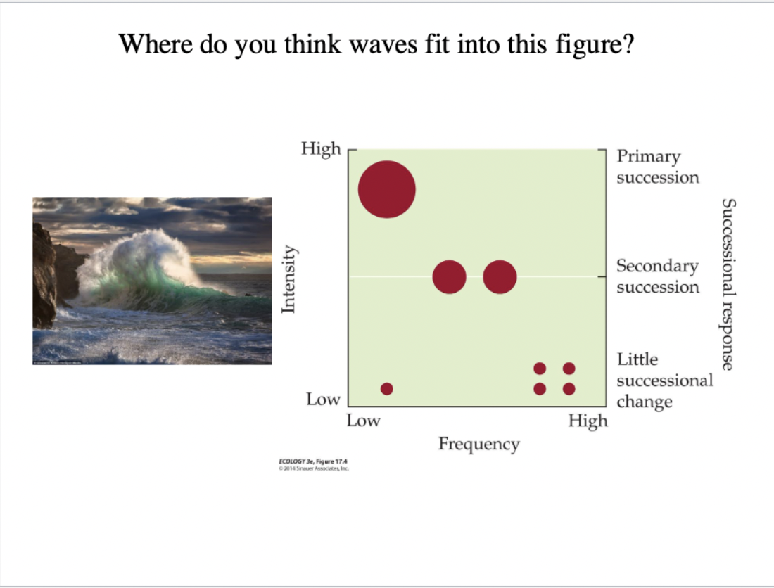 <p>Where Do Waves Fit in the Figure?</p>