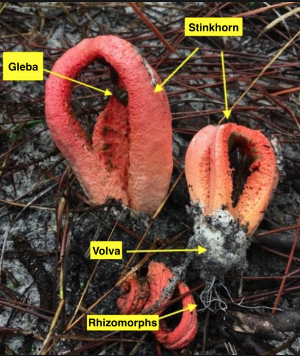 <p>What is this?</p>