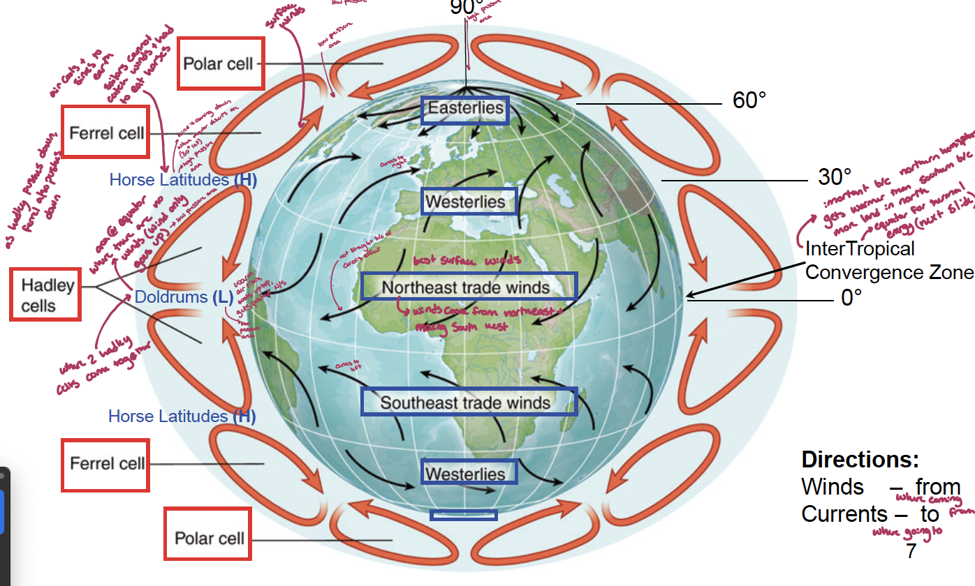 <p>the coriolis effect makes one convection cell become three convection cells in each hemisphere. the three cells are called:</p><ol><li><p>Hadley cells: closest to the equator. where the two Hadley cells cove together is the doldrums</p><ol><li><p>doldrums: area at the equator where there are no winds (wind only goes up, a low pressure area). warm air rises, cools up top, and gets pushed to the north/south</p></li></ol></li><li><p>ferrel cell: as the Hadley cells push down. ferrel cells also push down, leading to the formation of the horse latitudes</p><ol><li><p>horse latitudes: air from the Hadley cells cools and sinks to earth, wind is coming down from above, no winds, sailor cannot catch winds and had to eat their horses (you would too!!). an area of high pressure, where many deserts are (~30° lat)</p></li></ol></li><li><p>polar cell: meets the ferrel cells and creases another low pressure area where the wind is going up. between the two polar cells there is a high pressure area</p></li></ol><p></p><p>wind moves from high pressure to low pressure</p><p>doldrums: up - low pressure</p><p>horse latitudes: down - high pressure</p><p>other: up - low pressure</p><p>other 2: down - high pressure</p><p></p>
