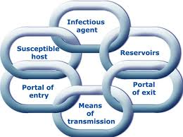 <p>what is the <strong>chain of infection</strong></p>