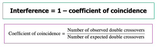 <p>Coefficient = # of observed double crossovers / # of expected double crossovers </p>