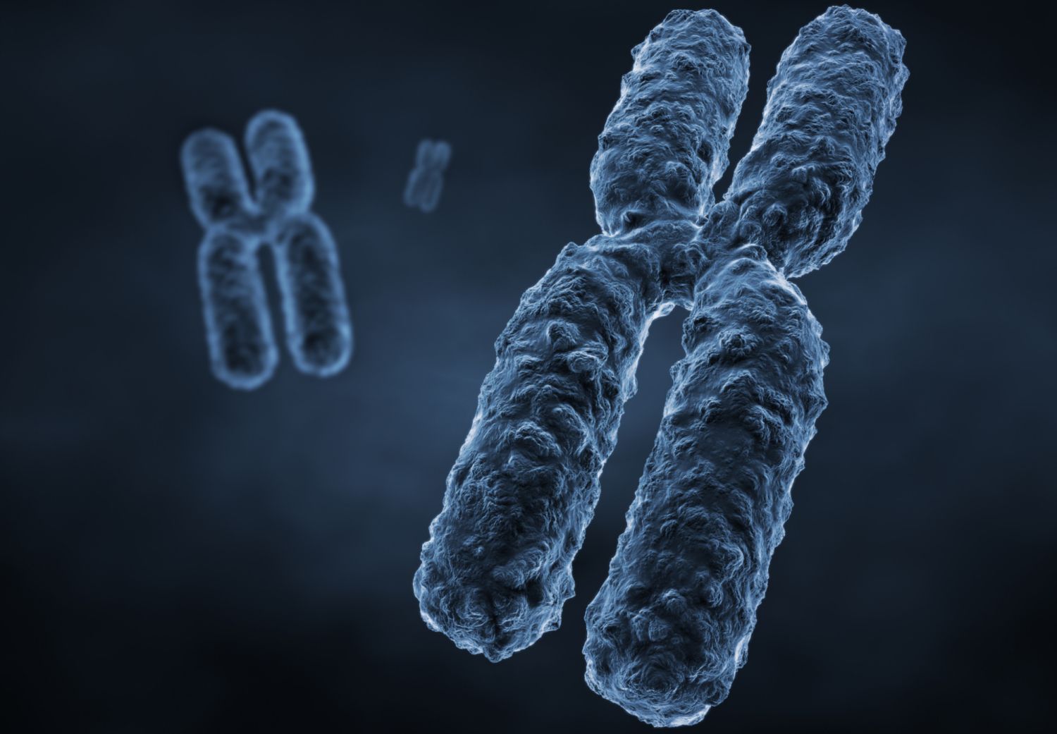* a gene-carrying structure found in the nucleus


* each chromosome consists of one very long DNA molecule and associated proteins.