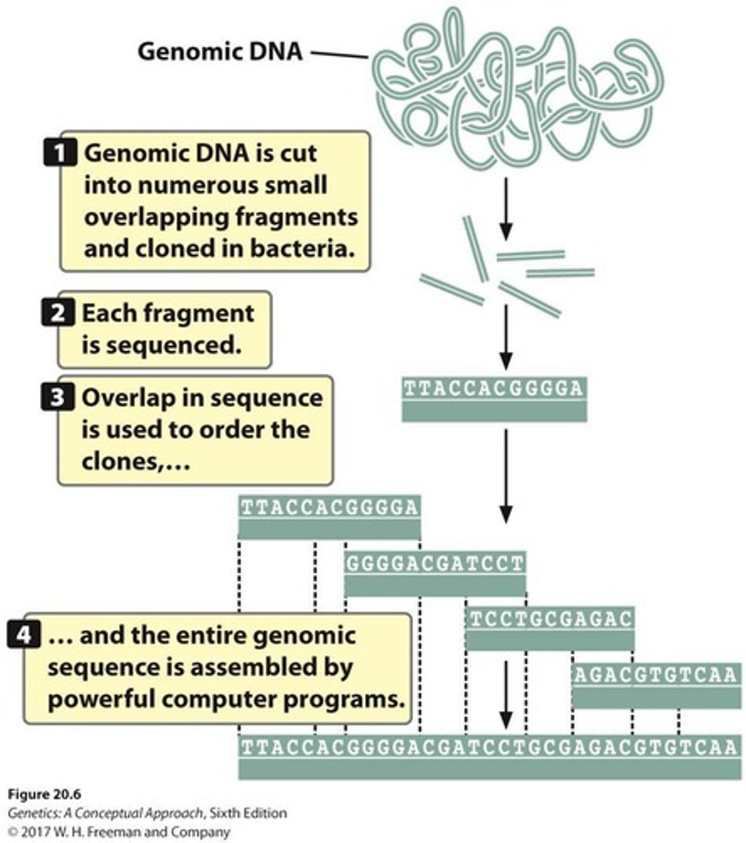 <p>Aligns fragments using sequence overlap.</p>