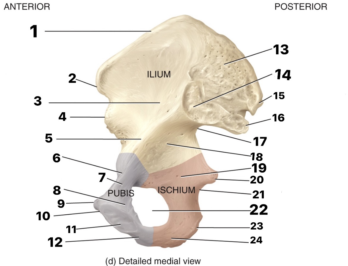 <p>19?</p>