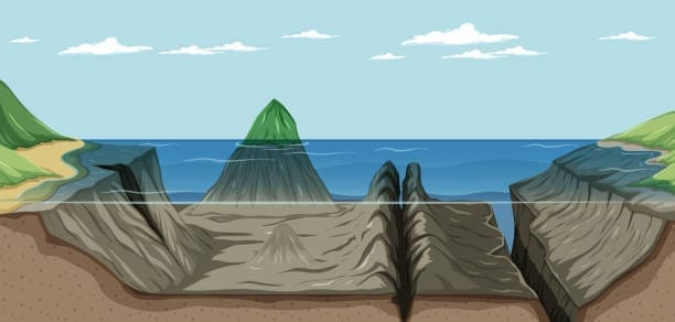 <p>oceanic trench</p>