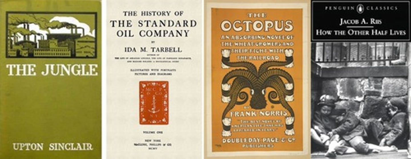 <p>Upton Sinclair's The Jungle; Ida Tarbell's The History of the Standard Oil Company; Frank Norris's The Octopus; Jacob Riis's How the Other Half Lives</p>
