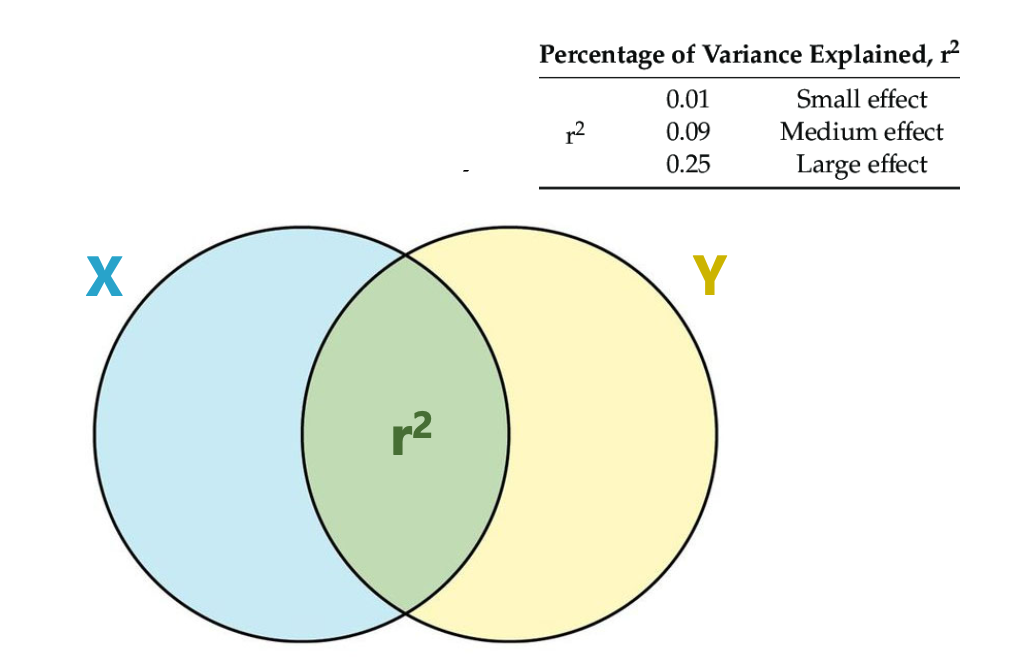 <ul><li><p>Mesure la proportion de la variance dans la variable dépendante qui est prévisible par (ou commune à) la variable indépendante</p></li><li><p>Élévation au carré du coefficient de corrélation de Pearson (r) </p></li><li><p>Utilisé pour évaluer la force d’une association entre deux variables quantitatives, ou la qualité de la prédiction d’un modèle de régression </p></li></ul><p>→ Un r<sup>2</sup> de 0.5 indique que 50% de la variance de la variable dépendante est expliquée par / commune à la variable indépendante </p>
