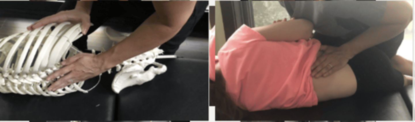 <p>PP: Basic side posture position with either side up-verbalize how you found the segment</p><p>DP: Modified fencer stance </p><p>CH: Caudal hand hypo/calcaneous slides onto inferior segment (L4) spinous with fingers angled across the spine</p><p>IH: Cephalic hand slight upward traction holding the pt's up-side shoulder or overlapping hand</p><p>LOD: P-A, I-S</p><p>(Closing the interspinous space)</p>