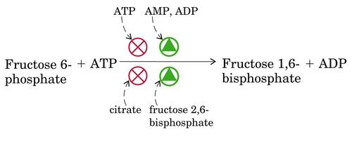 c) ATP
