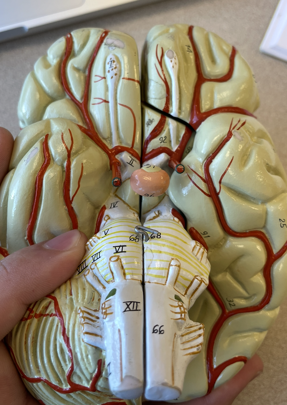 <p>What is the line going into 1</p>