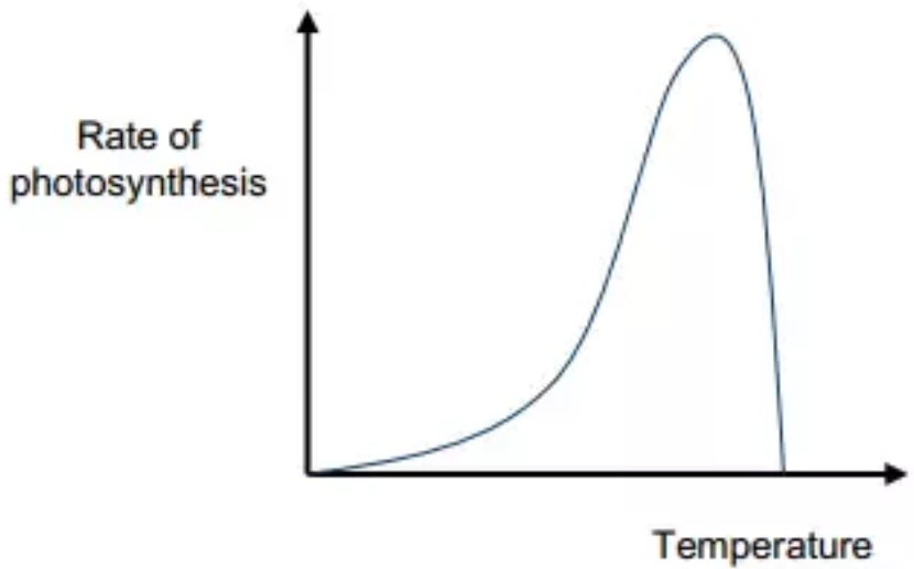 graph on how temperature affects the rate of photosynthesis