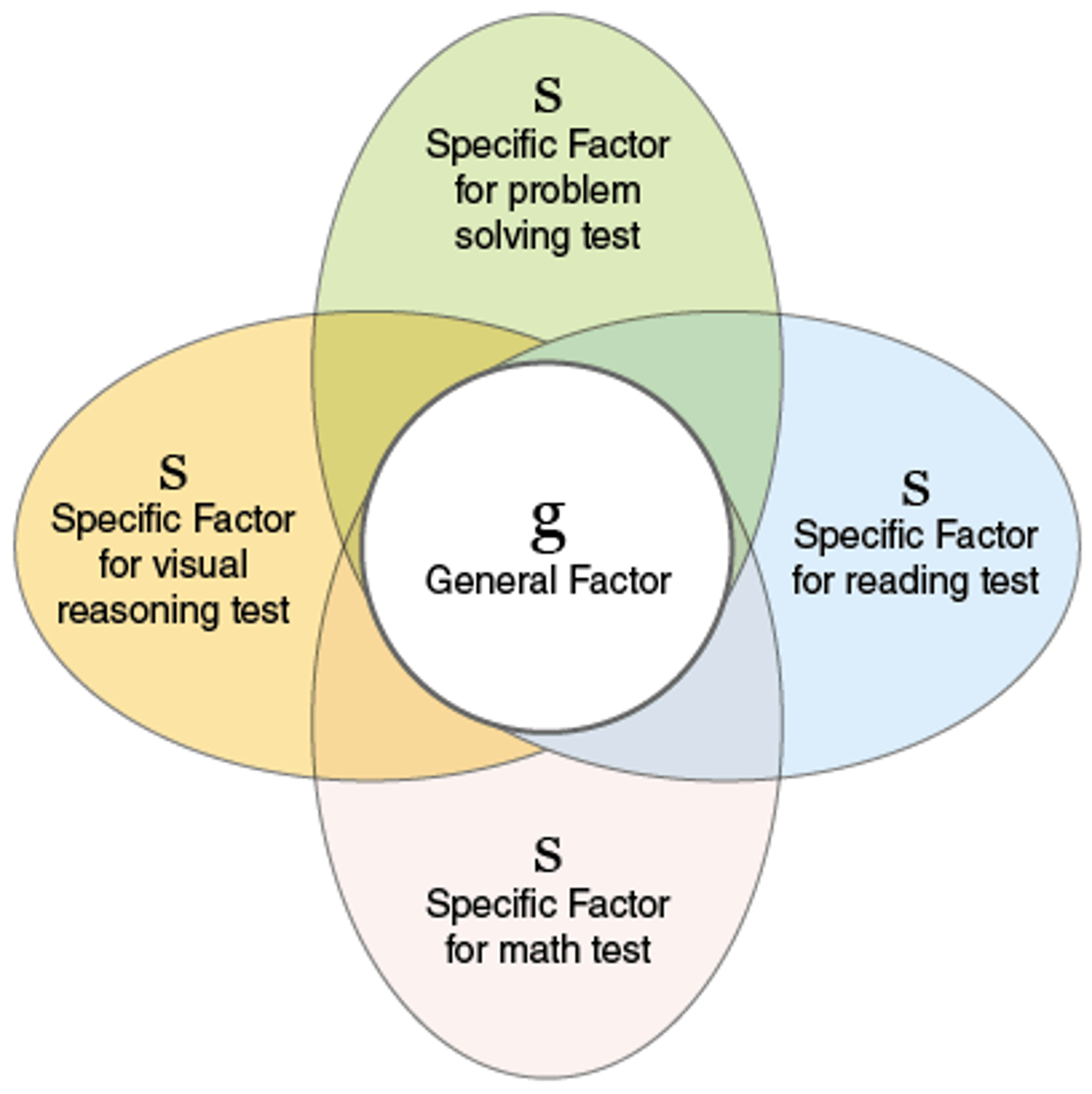 <p>Intelligence is made up of a number of mental abilities (factors)<br>g factor broad reasoning and problem-solving <br>s factor represents specific intelligence</p>