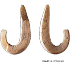 <p>Harpoons and fishhooks</p>