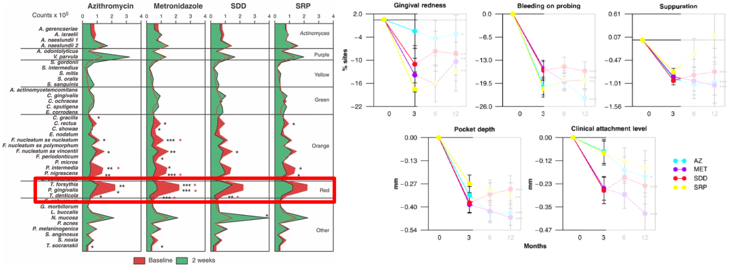 <p>what do these pictures show you?</p>