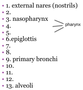 <p>What should 10 be?</p>